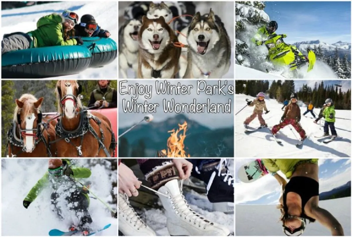 This vibrant image captures people enjoying a variety of winter activities such as tubing, dog sledding, snowmobiling, and ice skating beside an outdoor fire pit. Children and adults alike are shown having fun together in the snow, representing the family-friendly, amenity-rich experience promoted in the section.